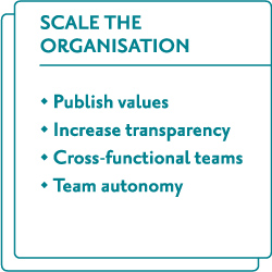 Scale the organisation
